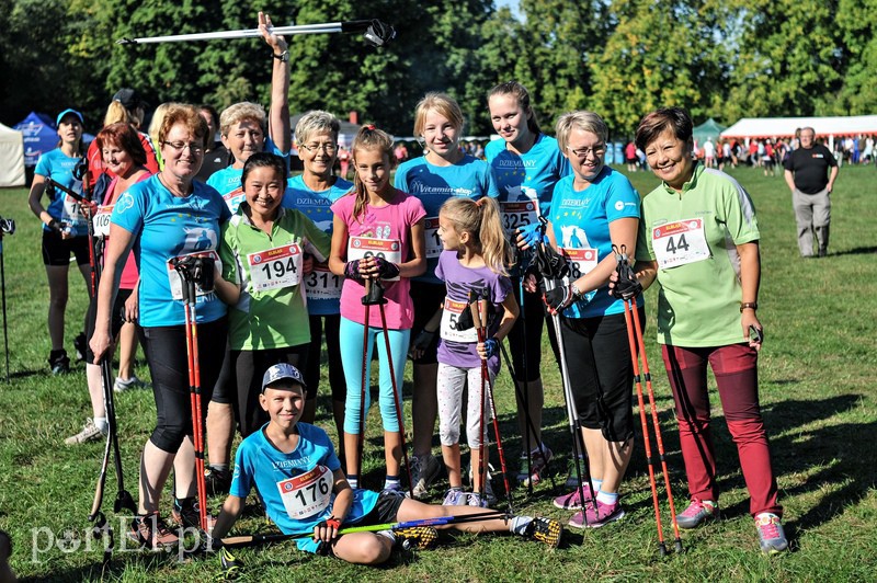 650 osób powędrowało z kijkami przez Bażantarnię zdjęcie nr 113735