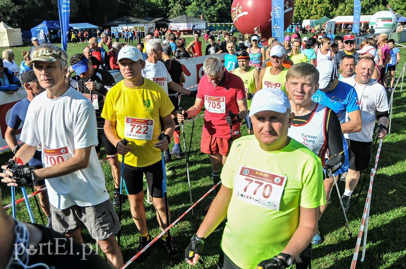 650 osób powędrowało z kijkami przez Bażantarnię zdjęcie nr 113714