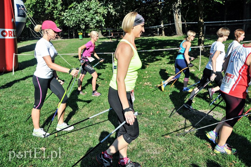 650 osób powędrowało z kijkami przez Bażantarnię zdjęcie nr 113719