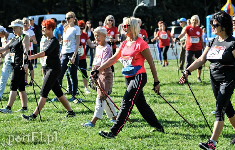 650 osób powędrowało z kijkami przez Bażantarnię zdjęcie nr 113738