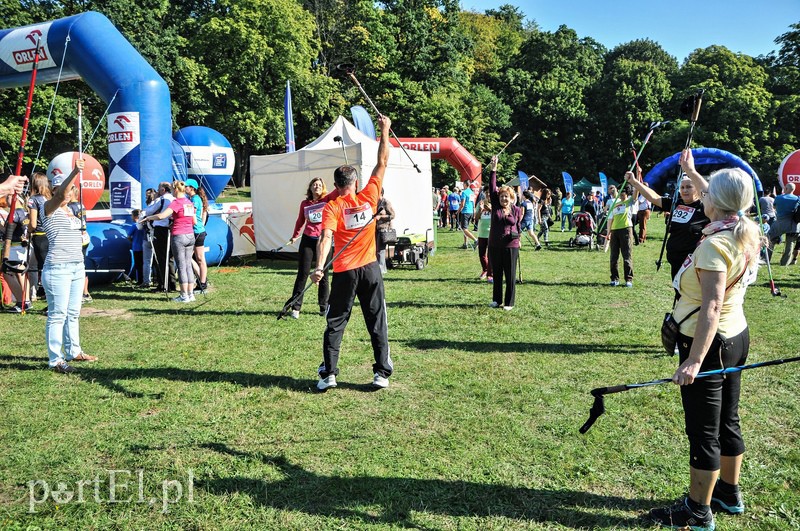 650 osób powędrowało z kijkami przez Bażantarnię zdjęcie nr 113743