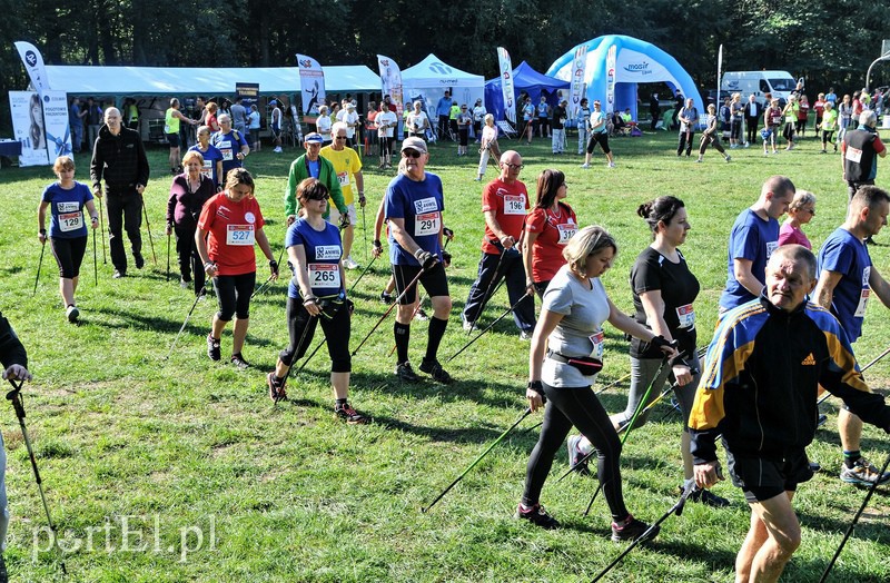 650 osób powędrowało z kijkami przez Bażantarnię zdjęcie nr 113742