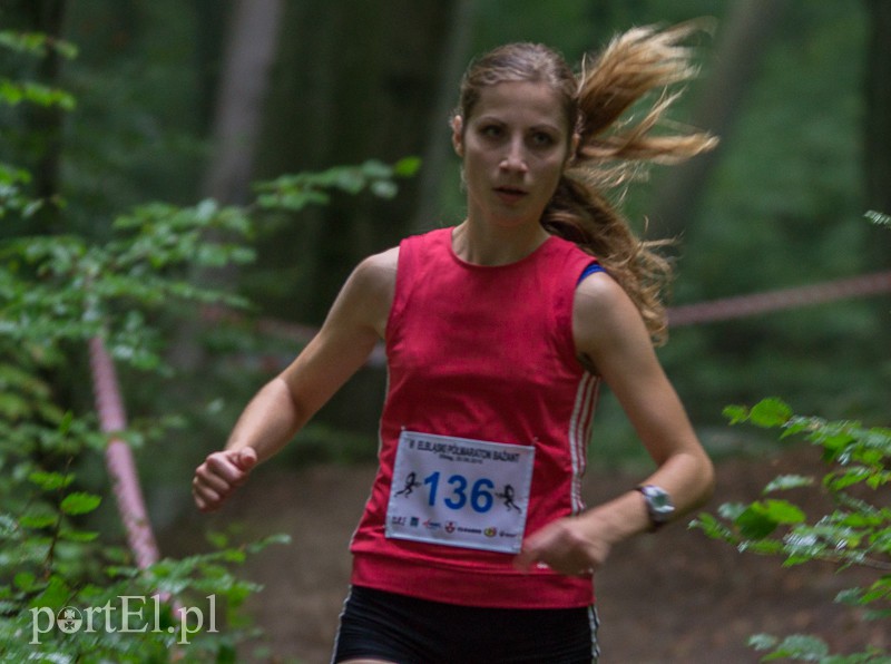 Pogonili niczym za bażantem  zdjęcie nr 113946