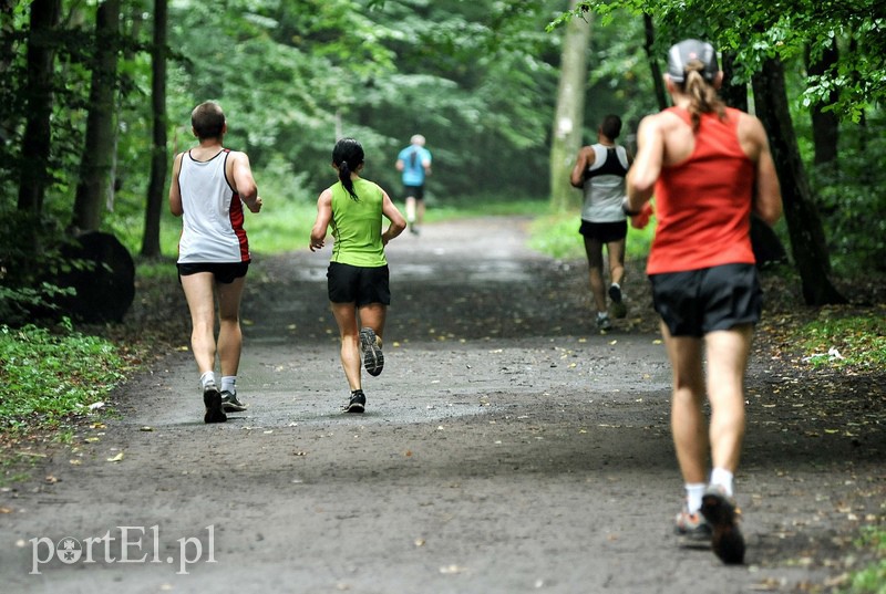 Pogonili niczym za bażantem  zdjęcie nr 113906