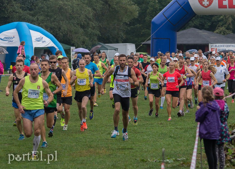 Pogonili niczym za bażantem  zdjęcie nr 113930