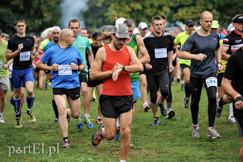 Pogonili niczym za bażantem  zdjęcie nr 113873