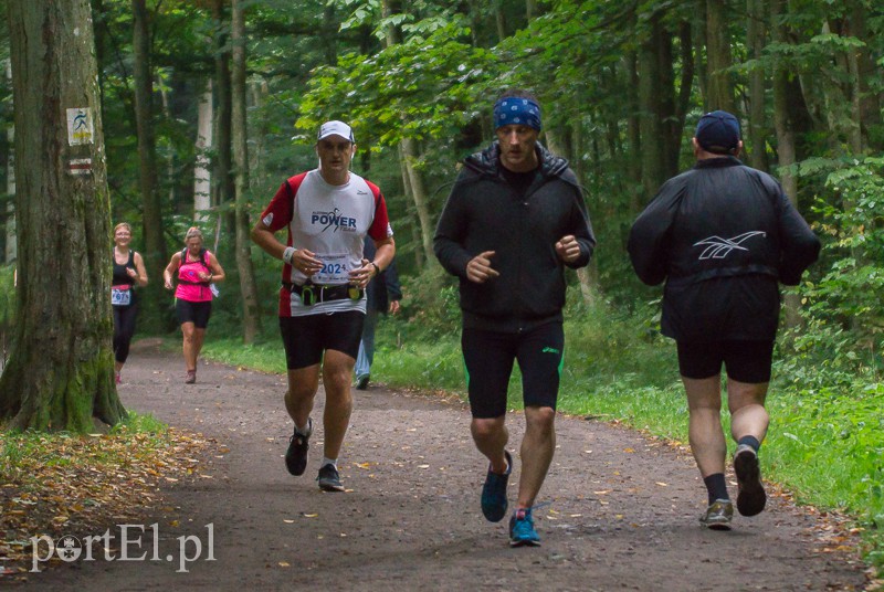 Pogonili niczym za bażantem  zdjęcie nr 114001