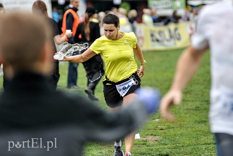 Pogonili niczym za bażantem  zdjęcie nr 113895