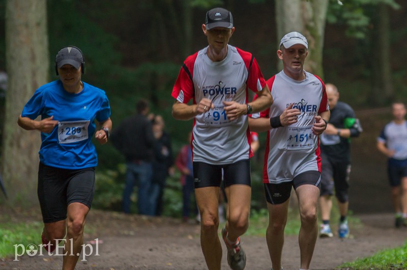 Pogonili niczym za bażantem  zdjęcie nr 113974