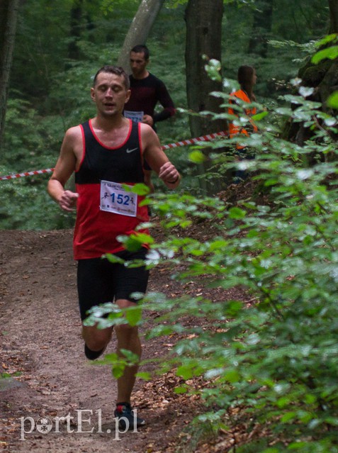 Pogonili niczym za bażantem  zdjęcie nr 113952