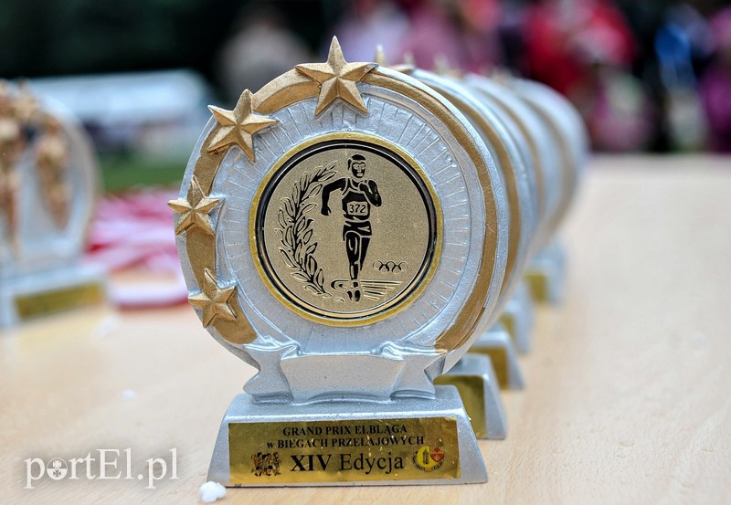 Pogonili niczym za bażantem  zdjęcie nr 113884