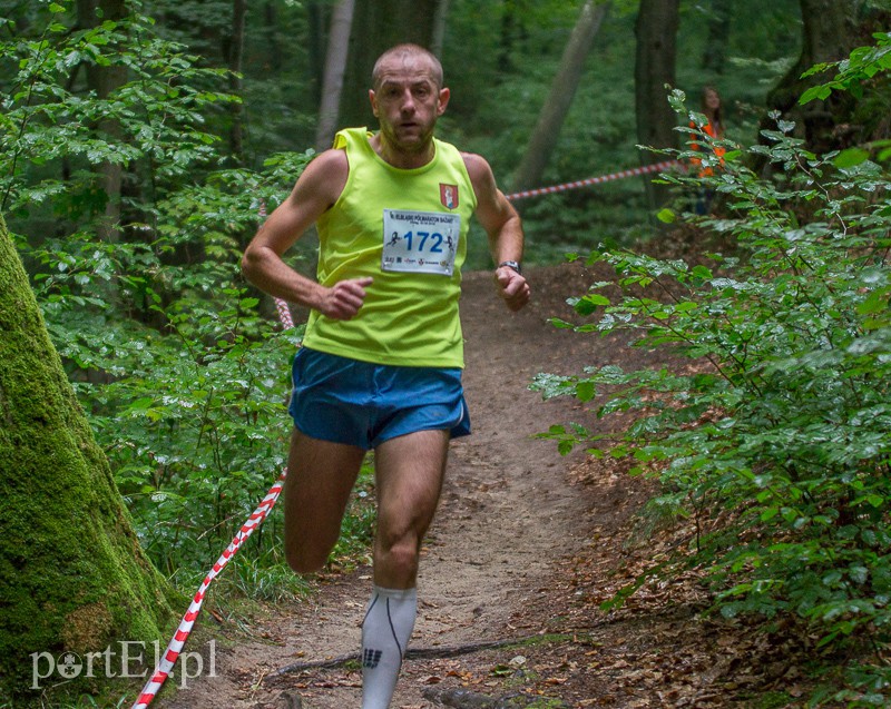 Pogonili niczym za bażantem  zdjęcie nr 113939