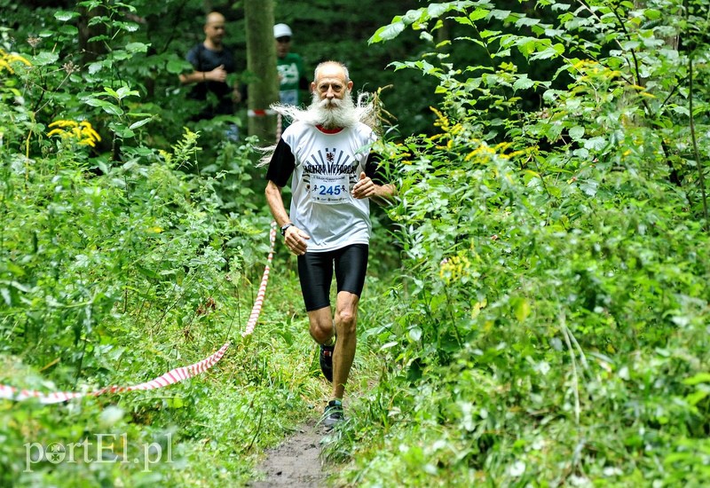 Pogonili niczym za bażantem  zdjęcie nr 113890