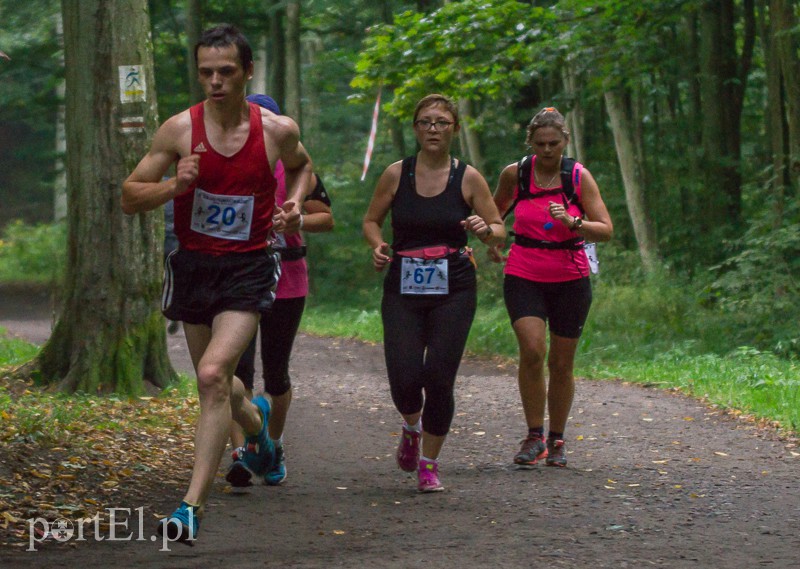 Pogonili niczym za bażantem  zdjęcie nr 114002