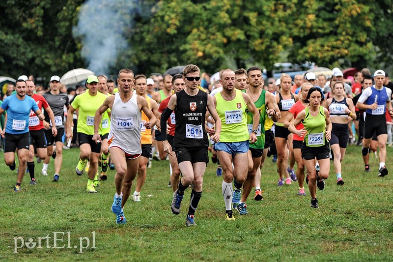 Pogonili niczym za bażantem  zdjęcie nr 113870