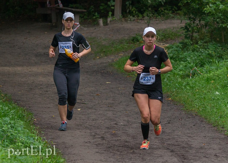 Pogonili niczym za bażantem  zdjęcie nr 113995