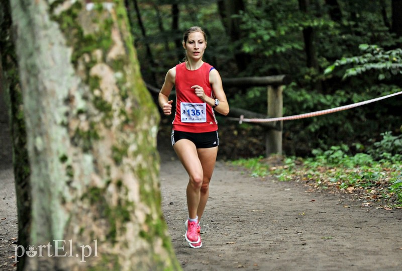 Pogonili niczym za bażantem  zdjęcie nr 113891