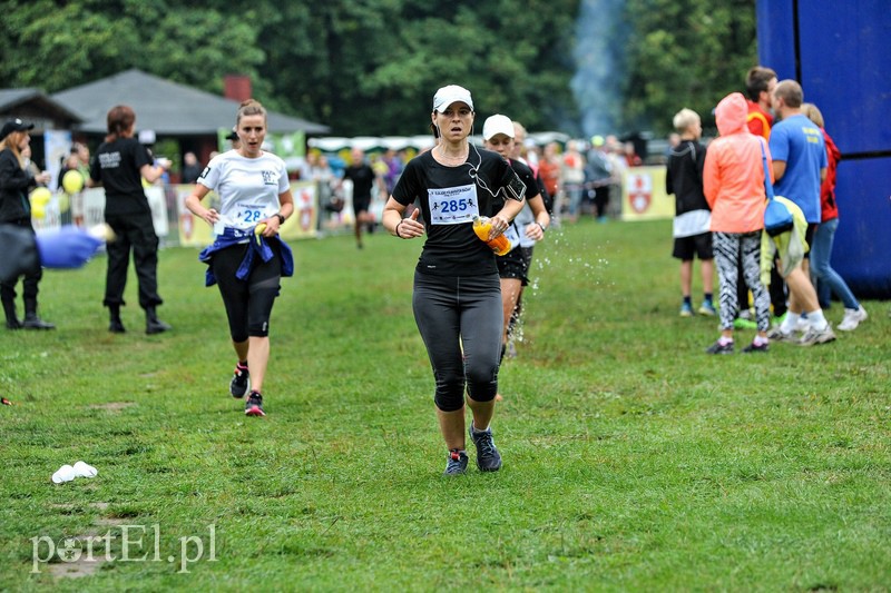 Pogonili niczym za bażantem  zdjęcie nr 113900