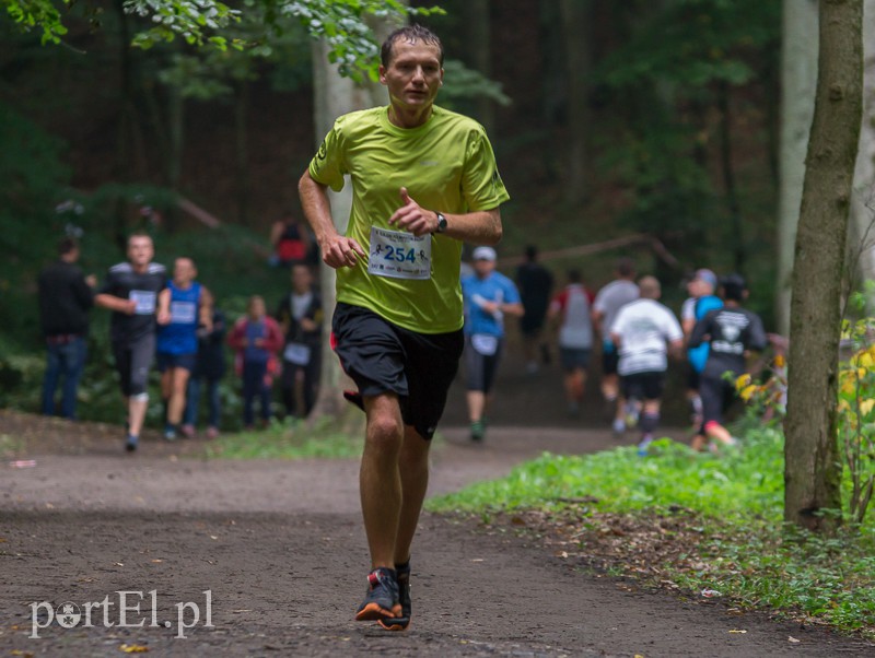 Pogonili niczym za bażantem  zdjęcie nr 113972