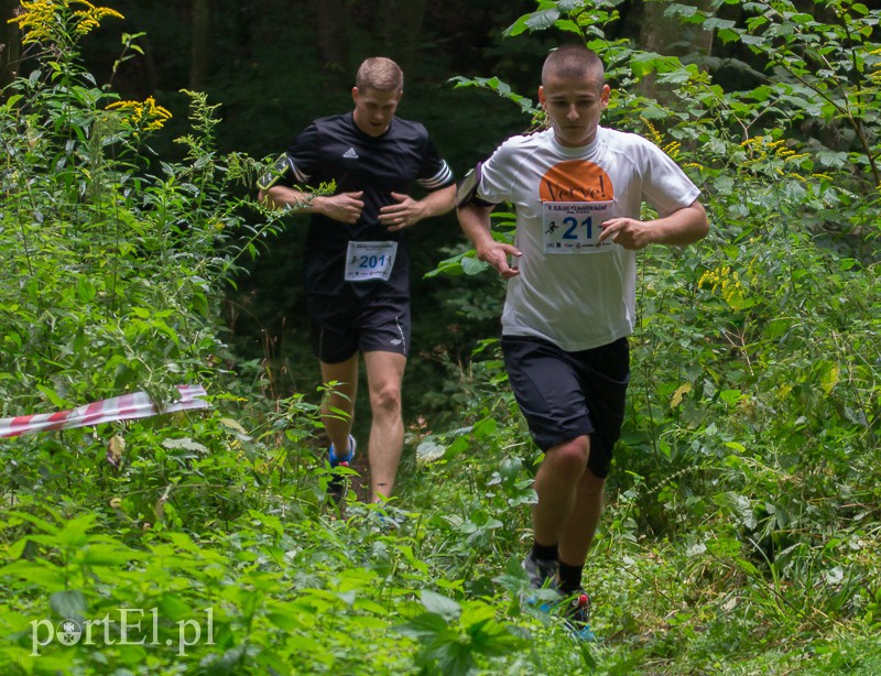 Pogonili niczym za bażantem  zdjęcie nr 113967