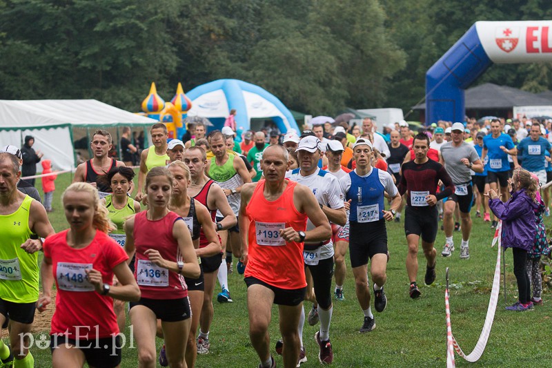 Pogonili niczym za bażantem  zdjęcie nr 113931