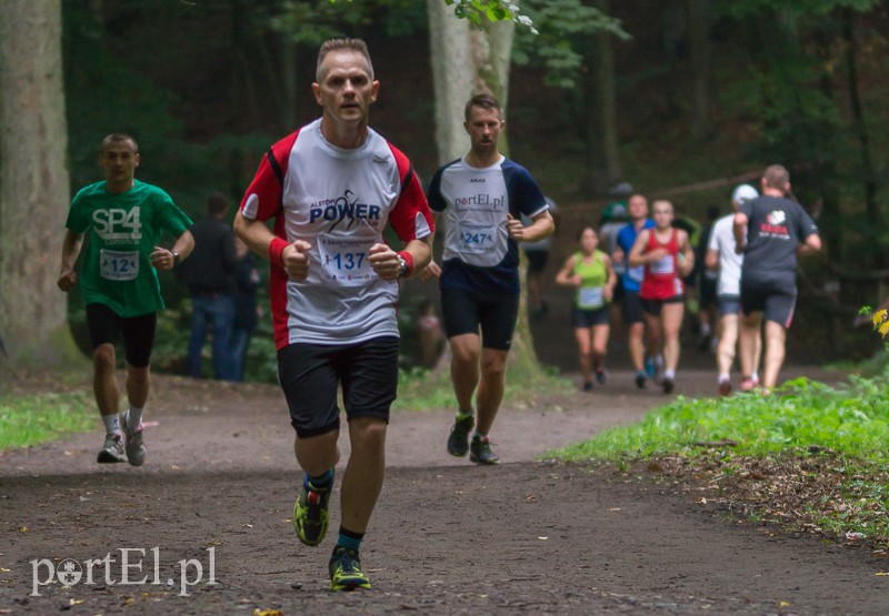 Pogonili niczym za bażantem  zdjęcie nr 113975