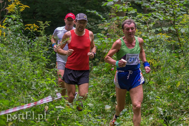 Pogonili niczym za bażantem  zdjęcie nr 113966