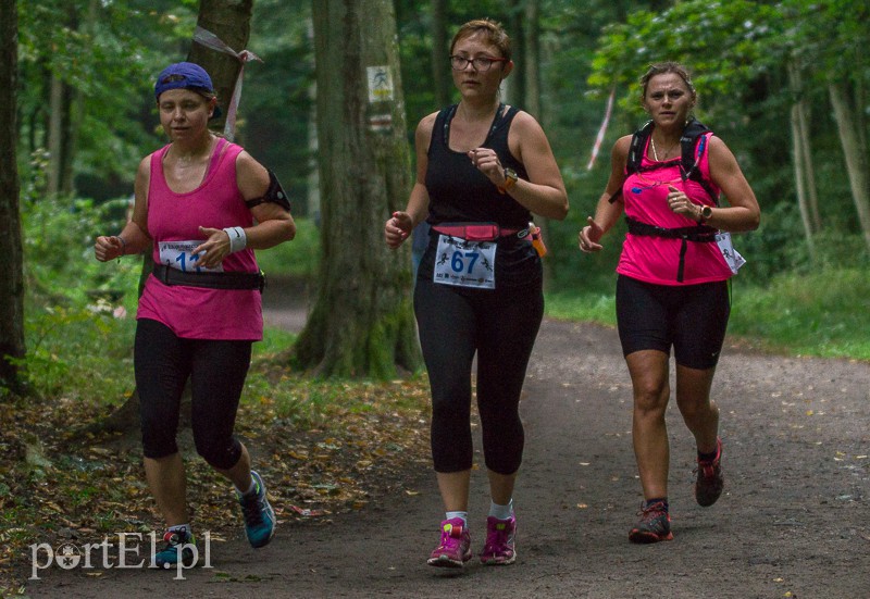 Pogonili niczym za bażantem  zdjęcie nr 114003