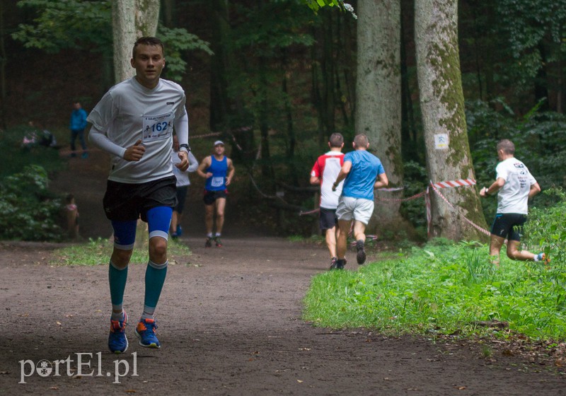 Pogonili niczym za bażantem  zdjęcie nr 113968