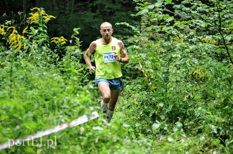 Pogonili niczym za bażantem  zdjęcie nr 113887