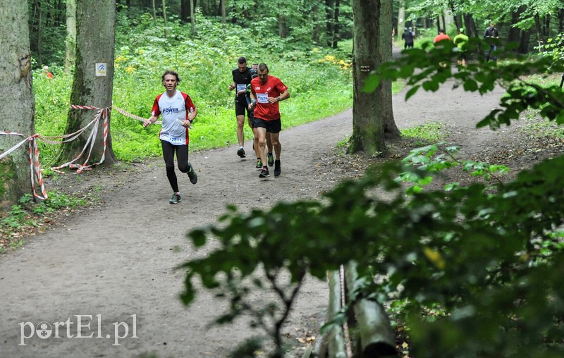 Pogonili niczym za bażantem  zdjęcie nr 113893