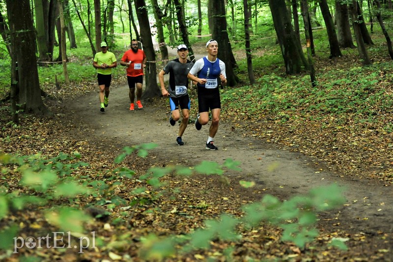Pogonili niczym za bażantem  zdjęcie nr 113892
