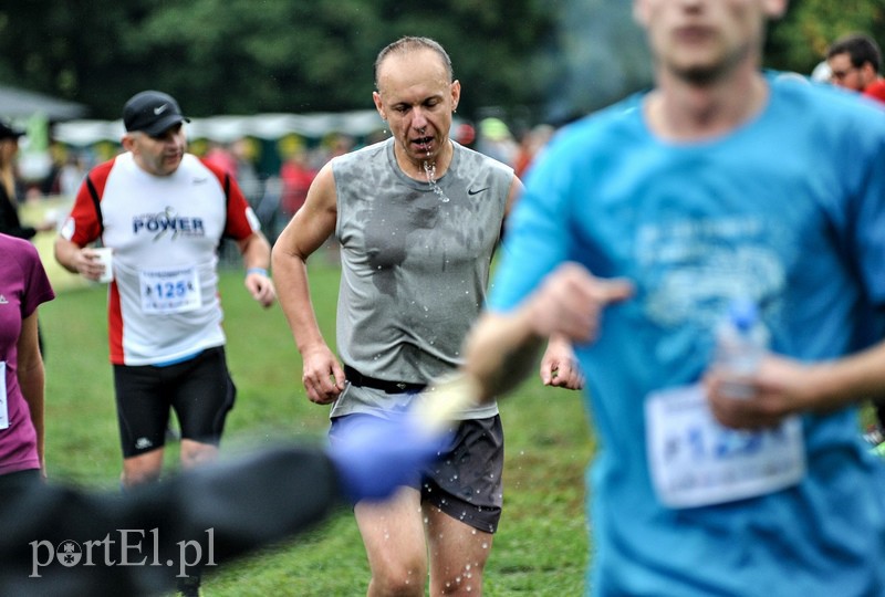 Pogonili niczym za bażantem  zdjęcie nr 113897