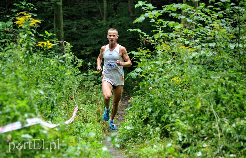 Pogonili niczym za bażantem  zdjęcie nr 113886