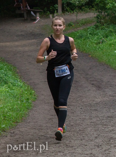 Pogonili niczym za bażantem  zdjęcie nr 113998