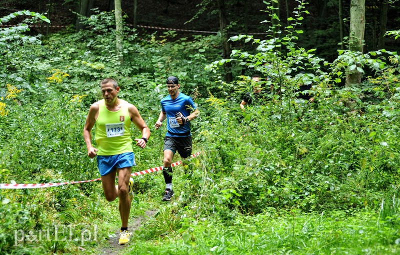 Pogonili niczym za bażantem  zdjęcie nr 113889