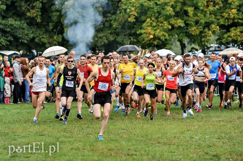 Pogonili niczym za bażantem  zdjęcie nr 113869