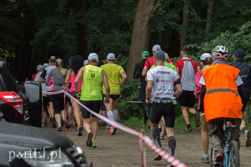 Pogonili niczym za bażantem  zdjęcie nr 113936