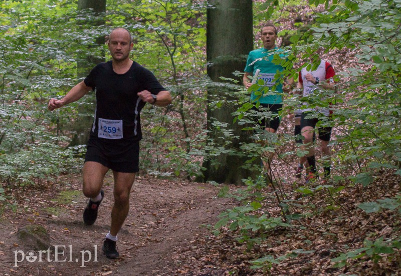 Pogonili niczym za bażantem  zdjęcie nr 113956