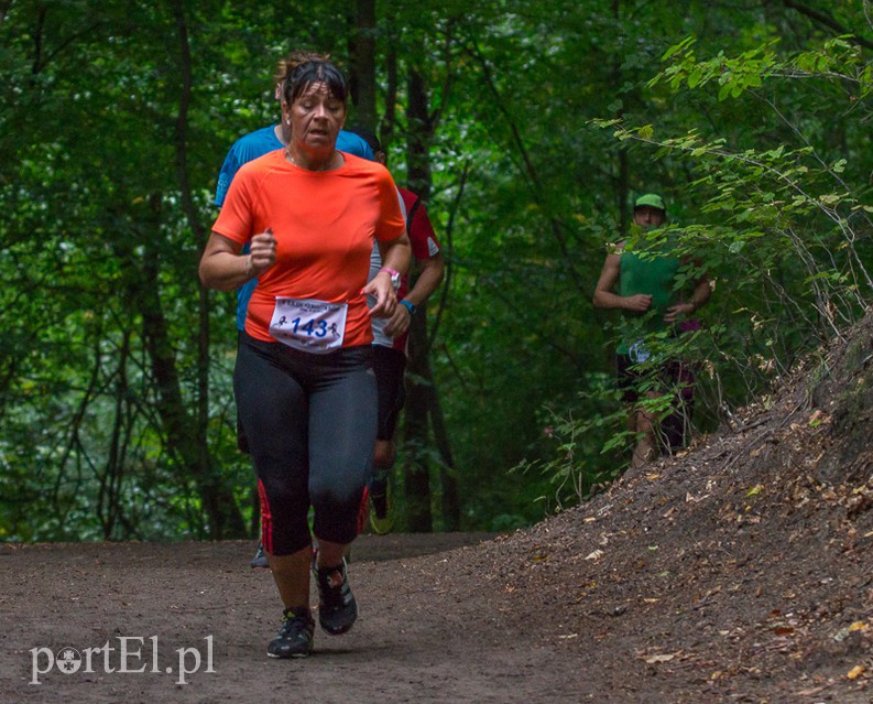 Pogonili niczym za bażantem  zdjęcie nr 113987