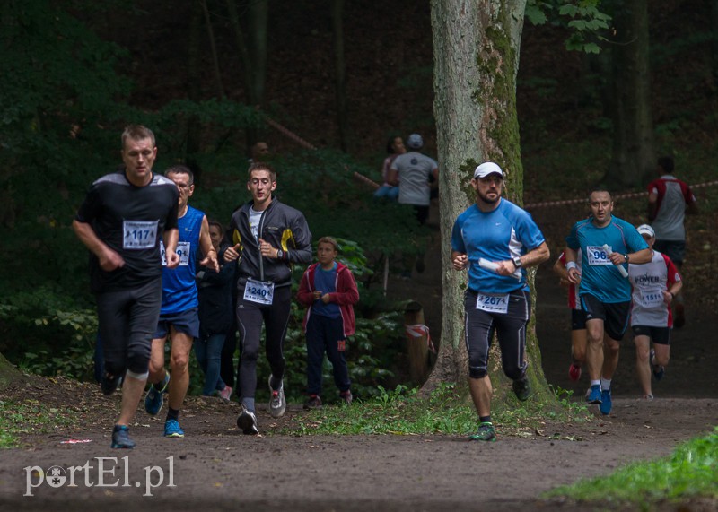 Pogonili niczym za bażantem  zdjęcie nr 113973