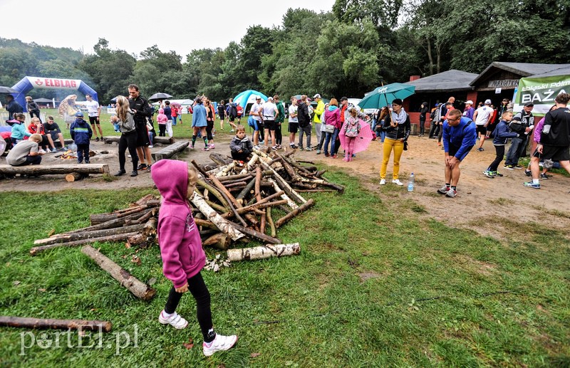 Elbląg Pogonili niczym za bażantem 