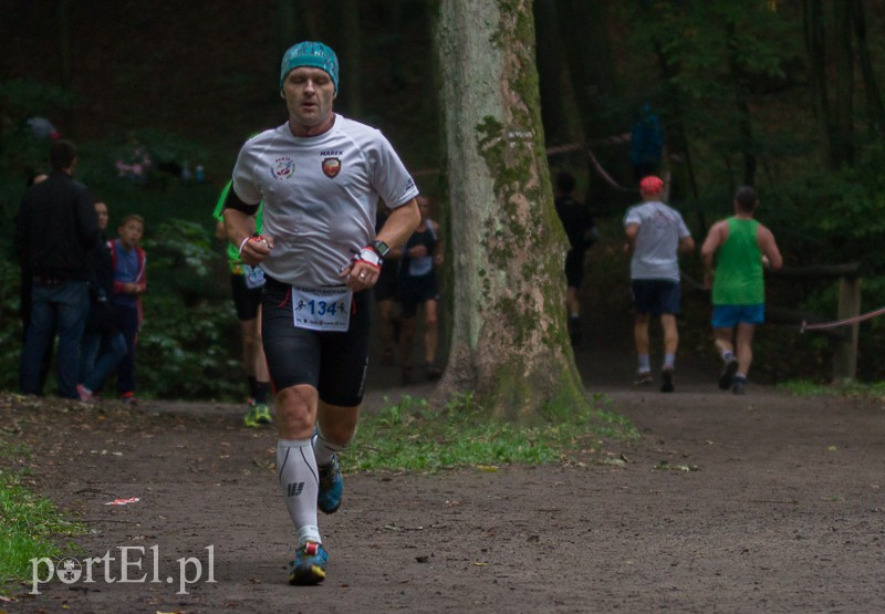 Pogonili niczym za bażantem  zdjęcie nr 113979