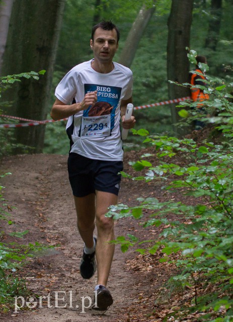 Pogonili niczym za bażantem  zdjęcie nr 113948