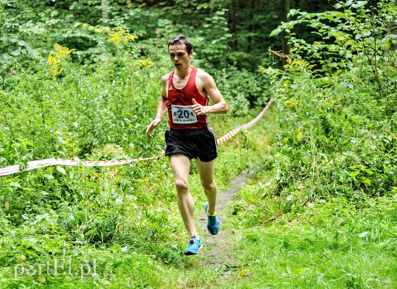 Pogonili niczym za bażantem  zdjęcie nr 113885