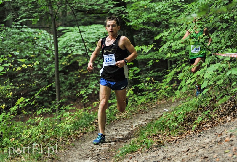 Pogonili niczym za bażantem  zdjęcie nr 113888