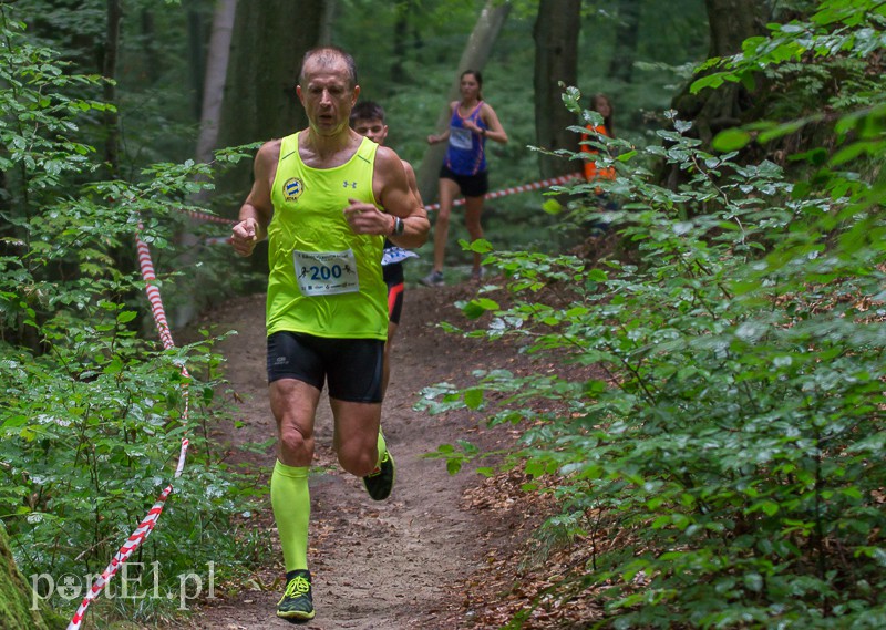 Pogonili niczym za bażantem  zdjęcie nr 113949