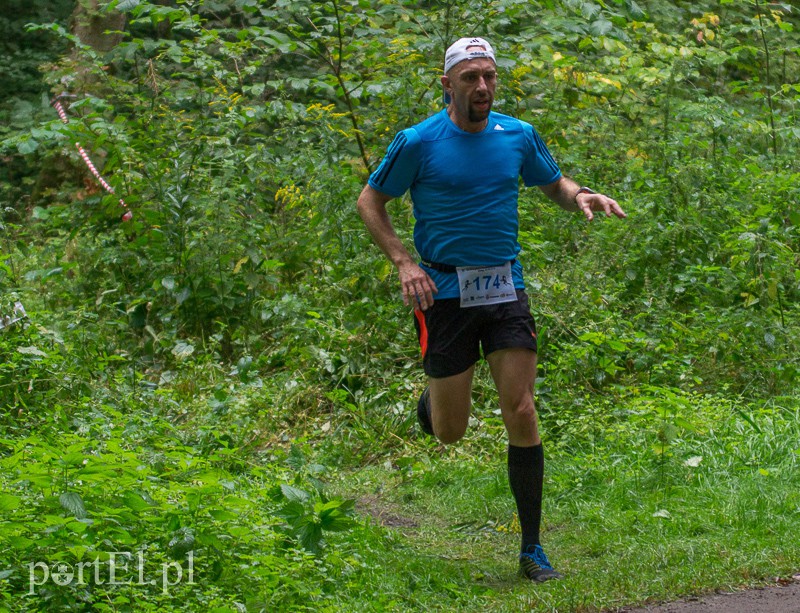 Pogonili niczym za bażantem  zdjęcie nr 113963