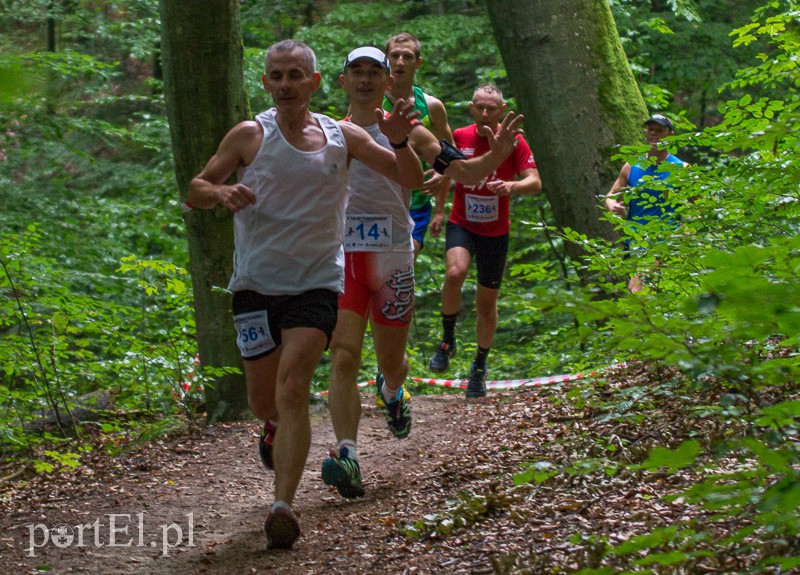 Pogonili niczym za bażantem  zdjęcie nr 113953