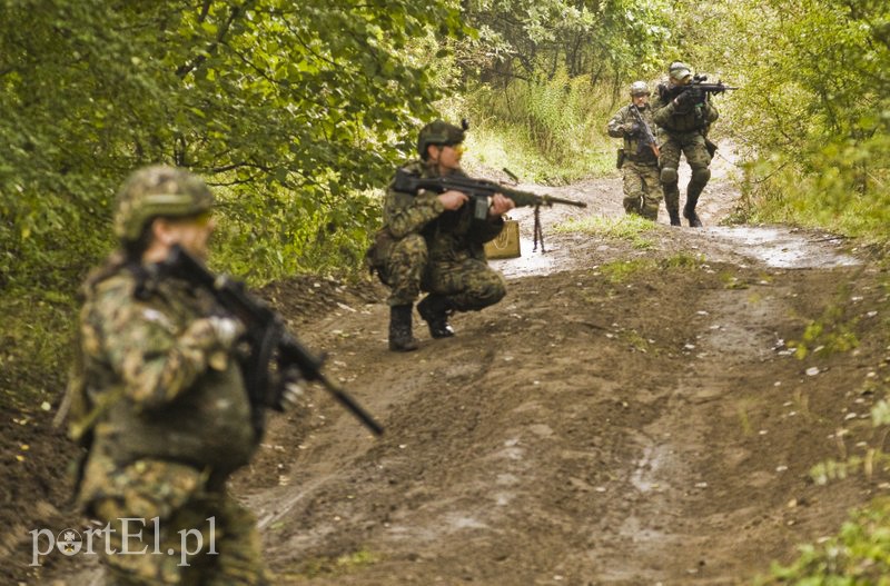 Wymiana ognia w elbląskim lesie zdjęcie nr 113922